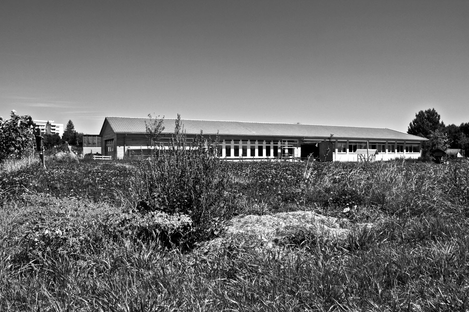 Steiner School in Biberach